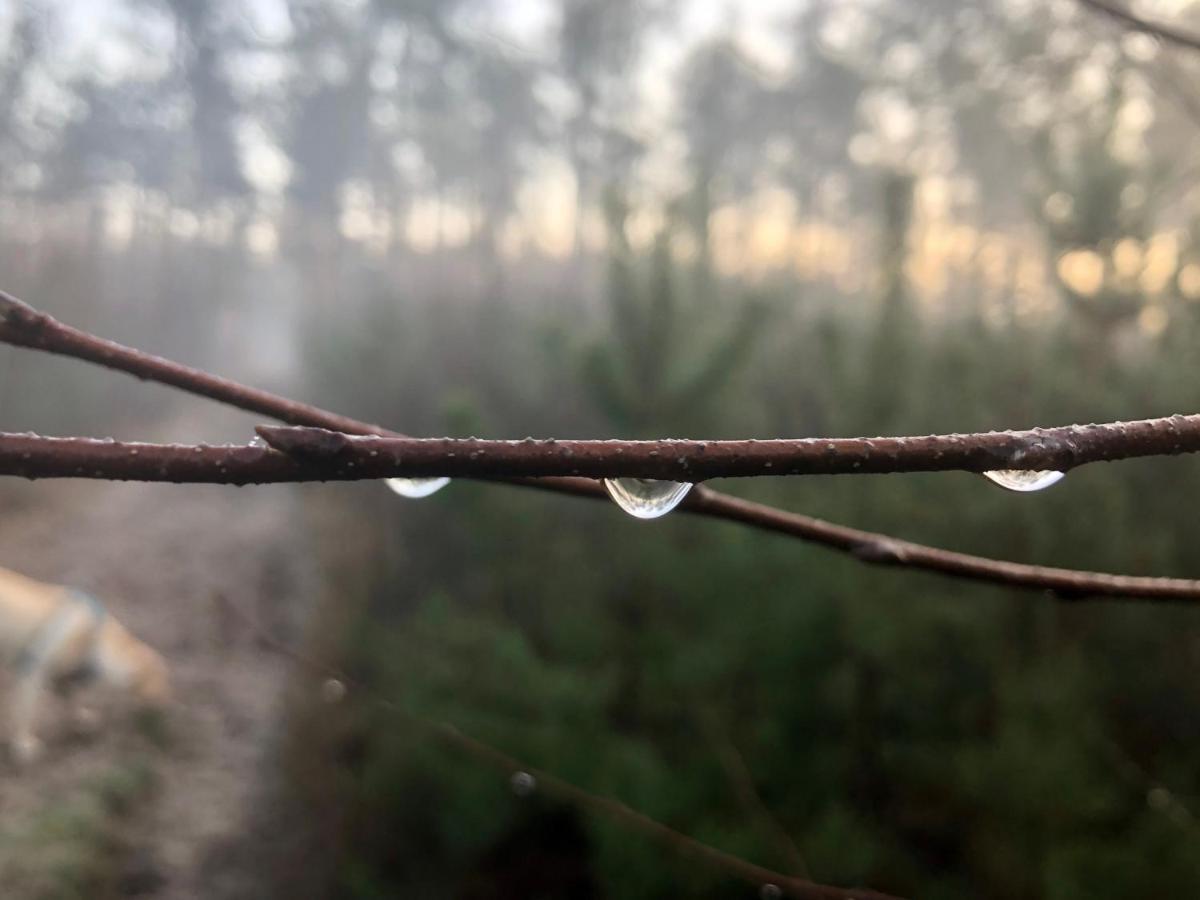 Het Natuurhuisje Op De Veluwe Nunspeet Exteriér fotografie
