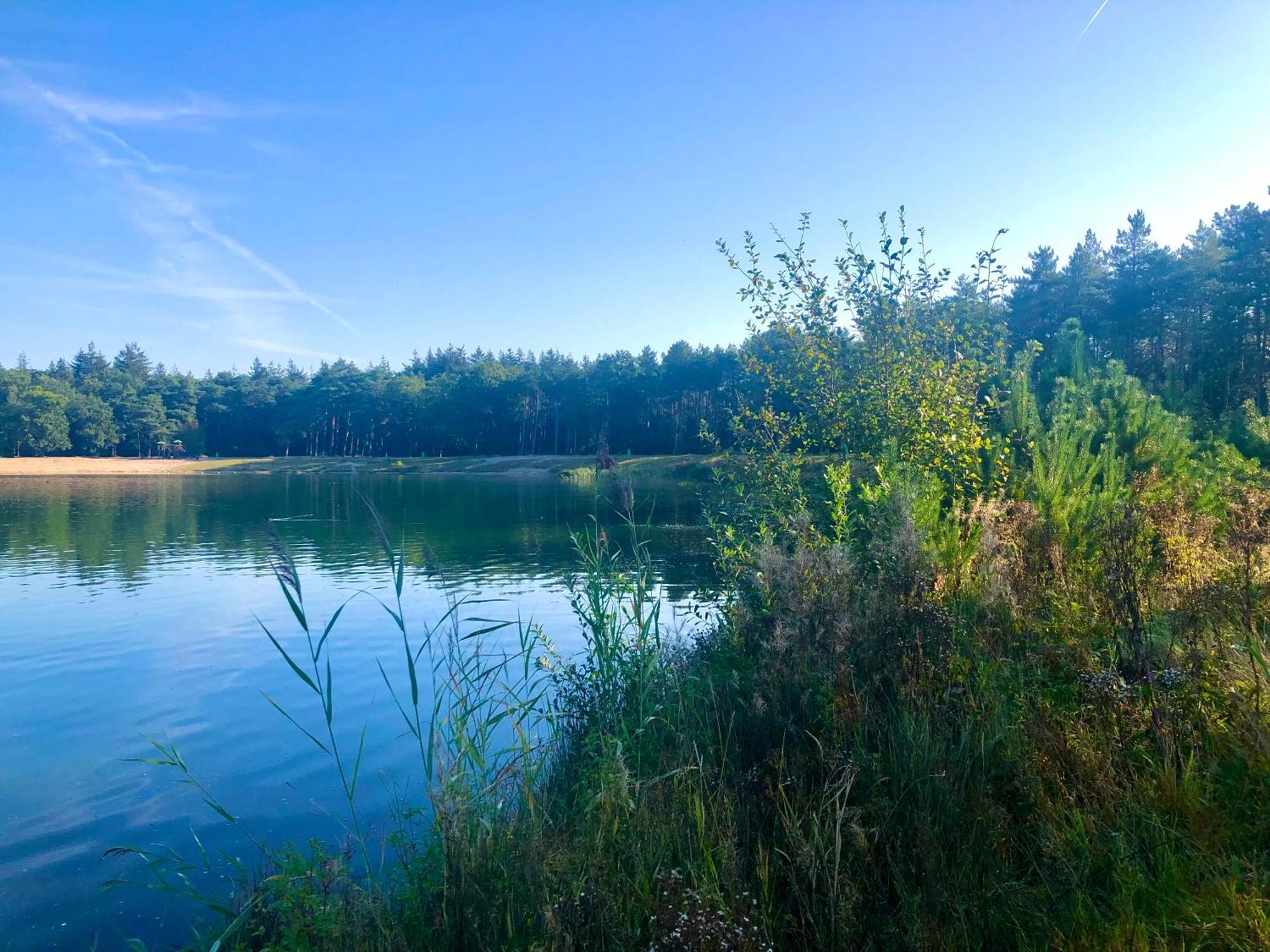 Het Natuurhuisje Op De Veluwe Nunspeet Exteriér fotografie