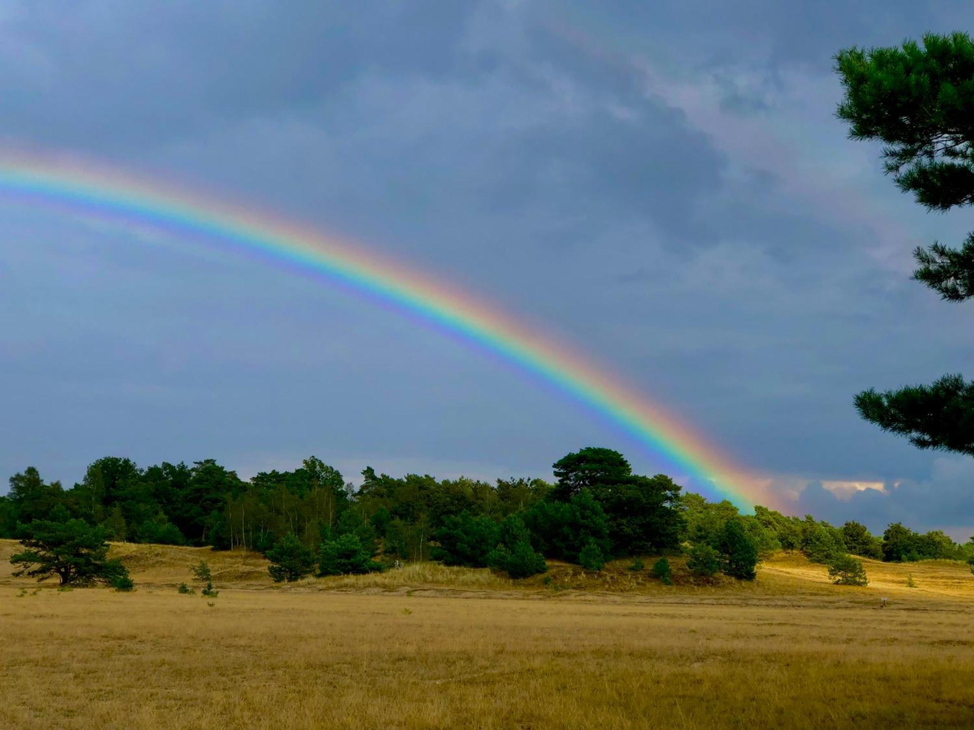 Het Natuurhuisje Op De Veluwe Nunspeet Exteriér fotografie